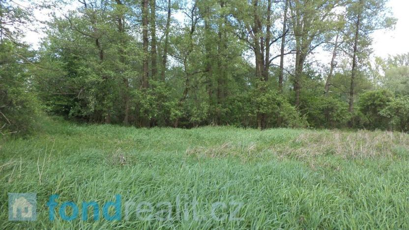 Prodej pozemku, Dětmarovice - Koukolná, 1844 m2