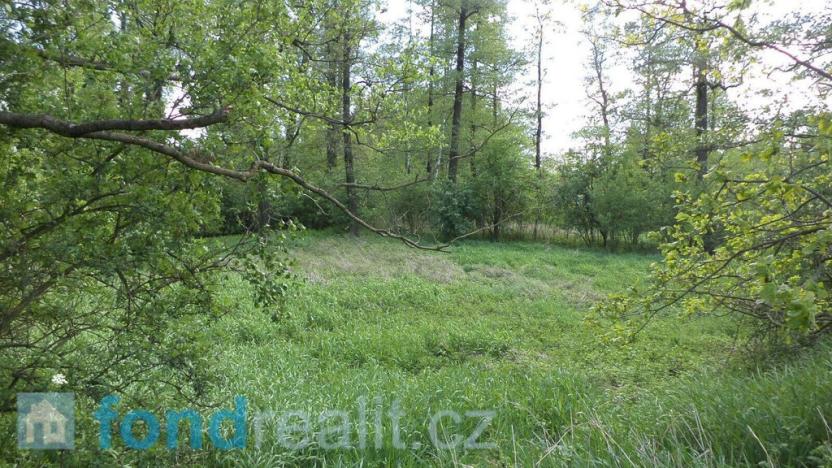 Prodej pozemku, Dětmarovice - Koukolná, 1844 m2