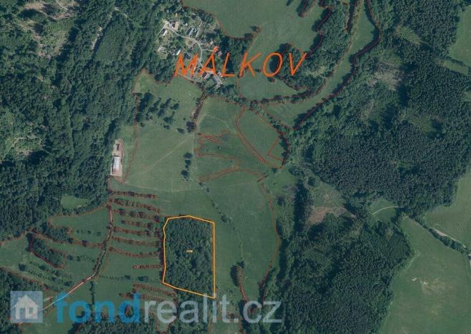 Prodej pole, Přimda, 35381 m2