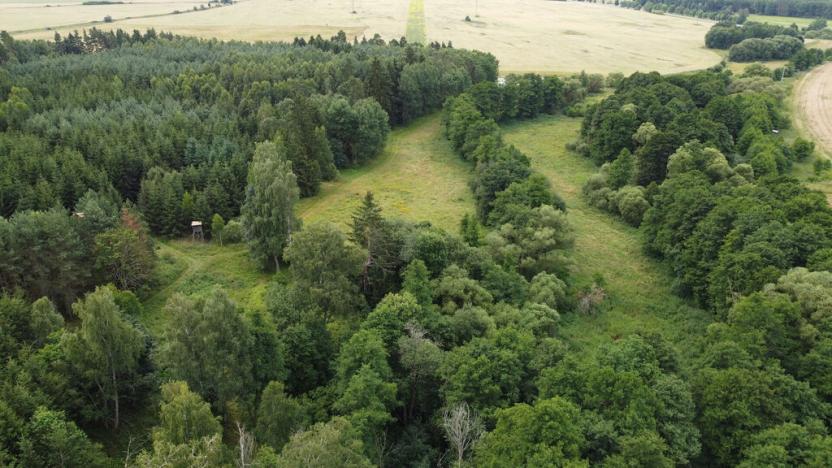 Prodej pole, Chodský Újezd - Nahý Újezdec, 25088 m2