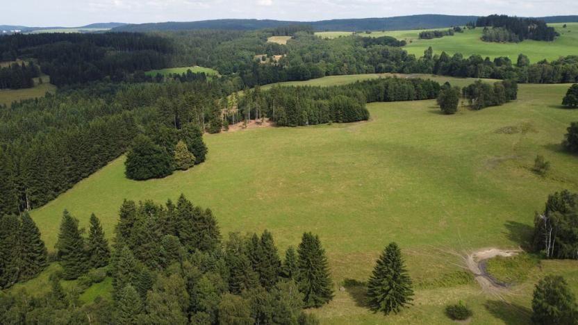 Prodej pole, Březová, 7363 m2