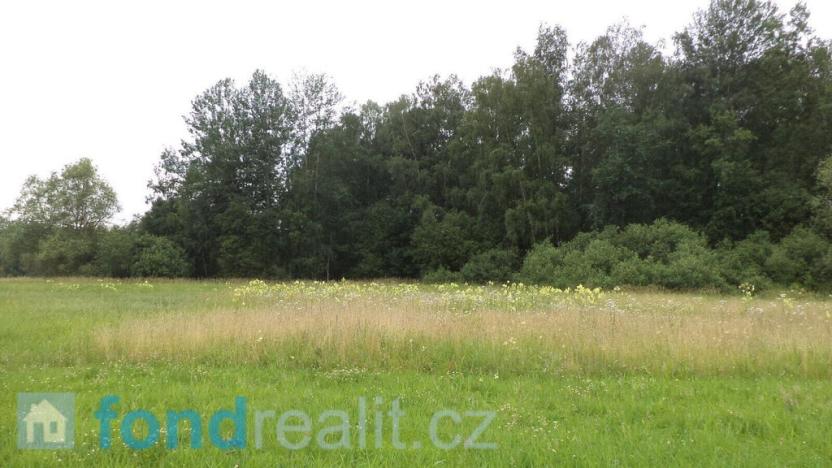Prodej pole, Česká Lípa, 5581 m2