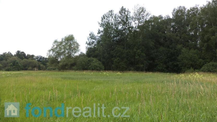 Prodej pole, Česká Lípa, 5581 m2
