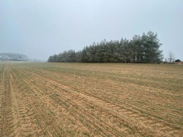 Prodej pole, Slatina, 11302 m2