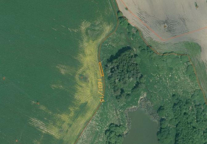 Prodej pozemku, Zliv, 311 m2