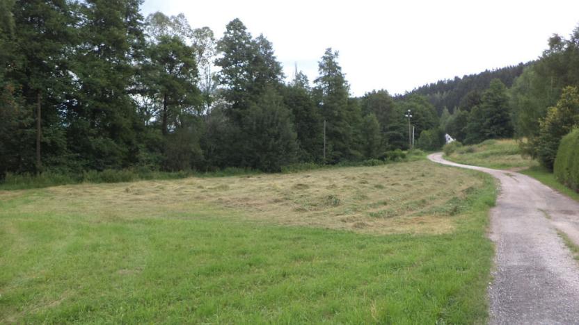 Prodej pozemku, Hostinné, 3488 m2