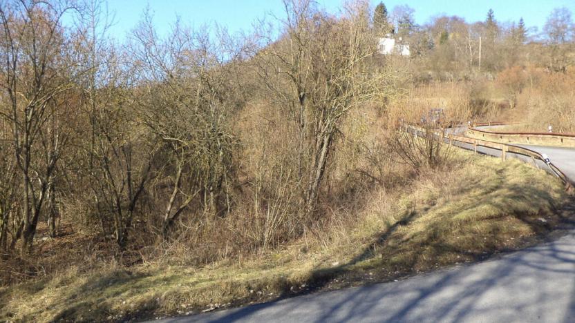 Prodej zahrady, Trmice, 3440 m2