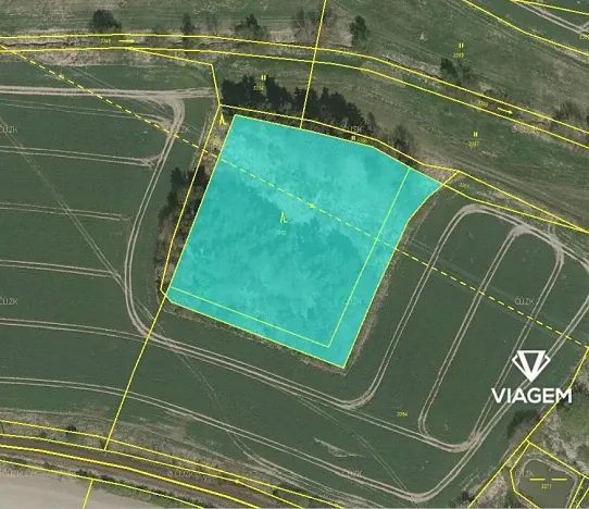 Prodej lesa, Jindřichův Hradec, 7182 m2