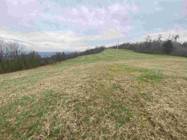 Prodej pole, Mírová pod Kozákovem, 22044 m2