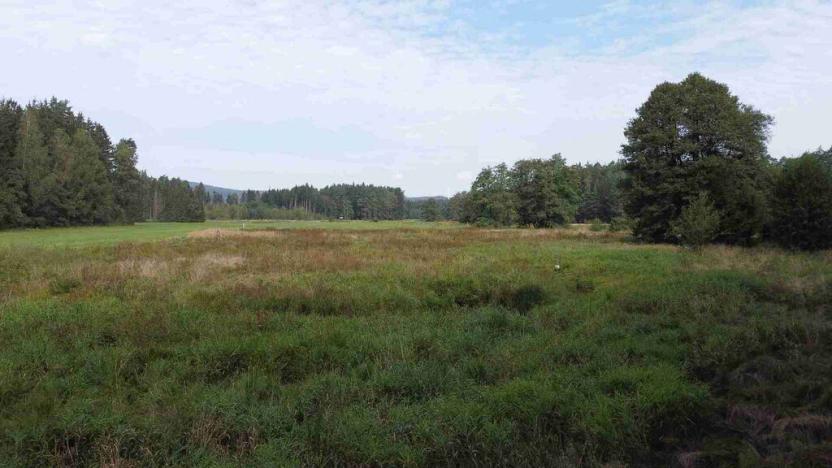 Prodej pole, Rozvadov, 52176 m2
