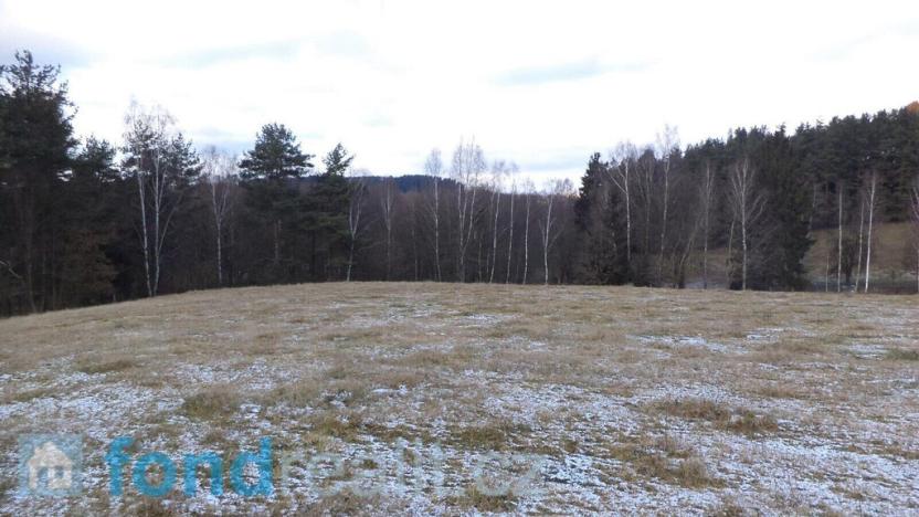Prodej pole, Horní Stropnice - Rychnov u Nových Hradů, 12382 m2