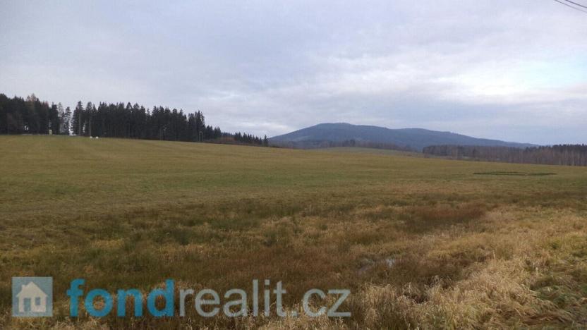 Prodej pole, Horní Planá, 45926 m2