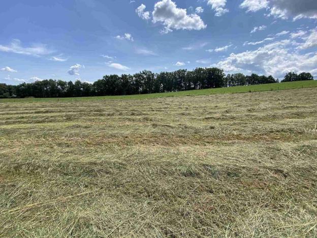 Prodej pole, Lhenice - Hrbov, 55481 m2