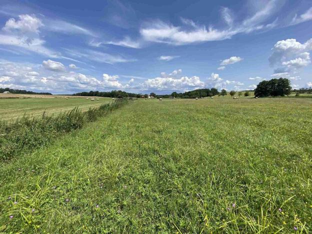 Prodej pole, Lhenice - Hrbov, 55481 m2