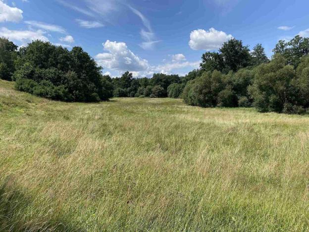 Prodej pole, Lhenice - Hrbov, 55481 m2