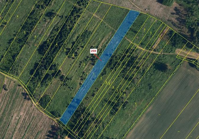 Dražba lesa, Vícenice, 6645 m2