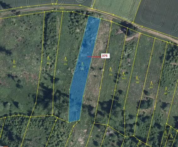 Dražba lesa, Chotěbudice, 1497 m2