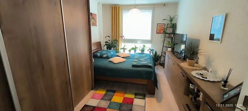 Prodej bytu 2+1, Ostrava, Mánesova, 65 m2