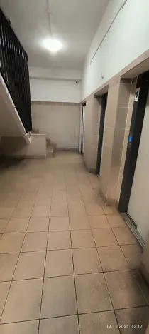 Prodej bytu 2+1, Ostrava, Mánesova, 65 m2