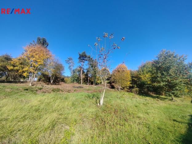 Prodej pozemku, Ostrava, 3646 m2