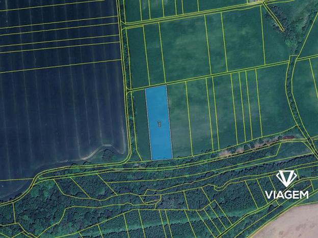 Prodej podílu pole, Veselíčko, 546 m2