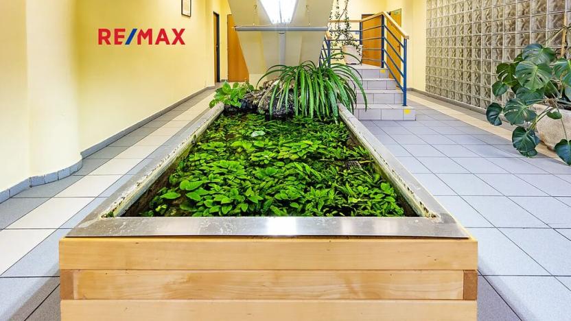 Prodej kanceláře, Česká Lípa, Vachkova, 826 m2