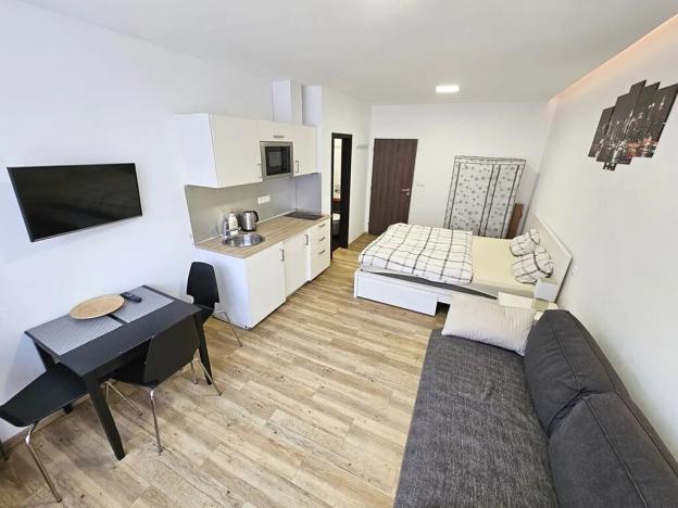 Pronájem bytu 1+kk, Praha - Nové Město, Opletalova, 22 m2