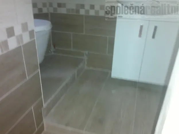 Pronájem bytu 1+kk, Holubice, Na Hrázi, 20 m2