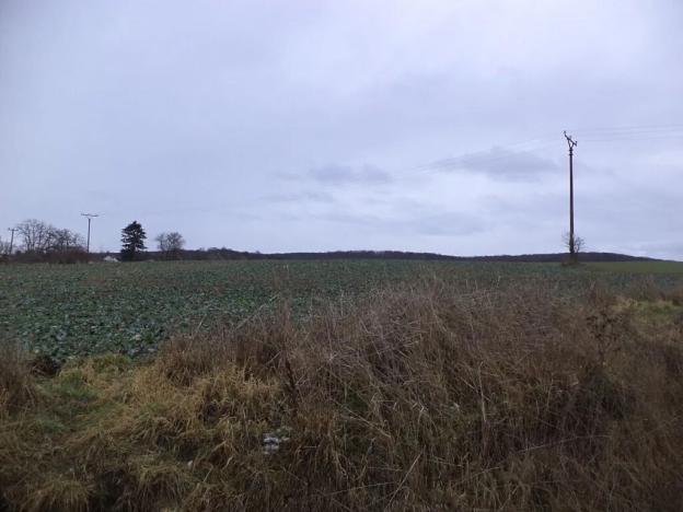 Dražba pole, Morkůvky, 6867 m2