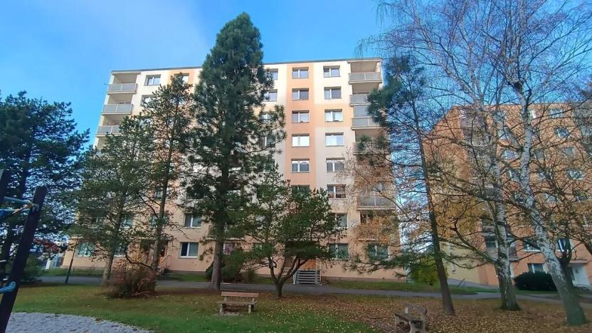 Pronájem bytu 1+1, Plzeň, Na Dlouhých, 40 m2