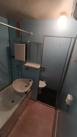 Pronájem bytu 1+1, Plzeň, Na Dlouhých, 40 m2