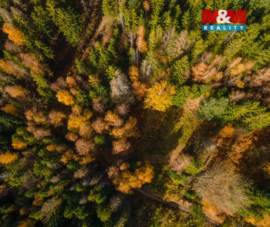 Prodej louky, Milíkov, 4541 m2