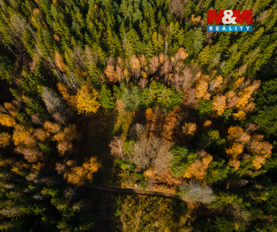 Prodej louky, Milíkov, 4541 m2