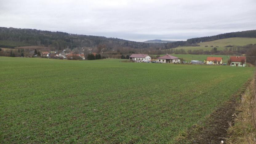 Prodej pole, Srby, 19946 m2