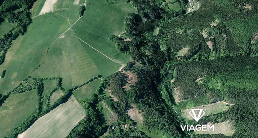 Prodej lesa, Lomnice, 10434 m2