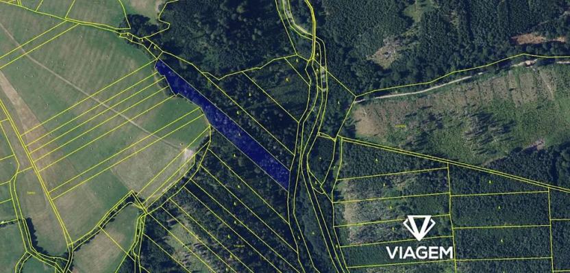 Prodej lesa, Lomnice, 10434 m2