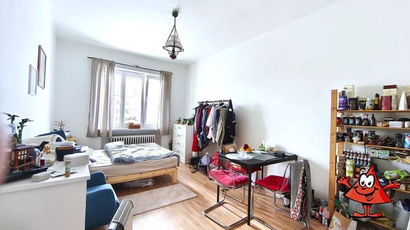 Pronájem bytu 1+kk, Praha - Nusle, Na Vítězné pláni, 27 m2