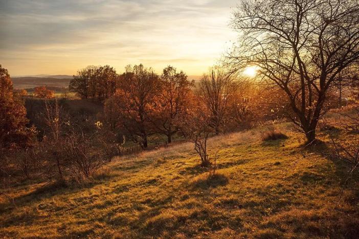 Prodej zahrady, Písek, 709 m2