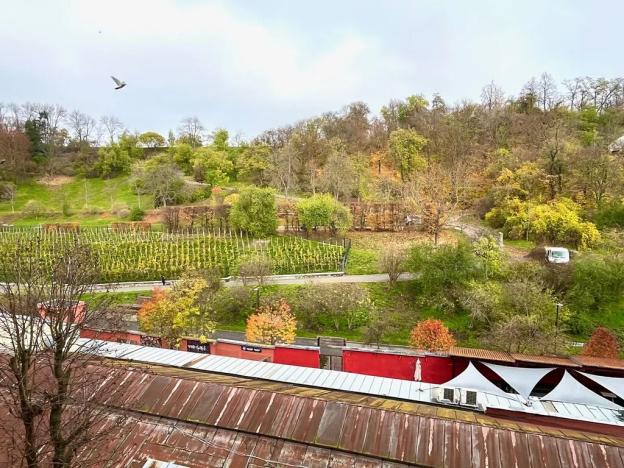 Pronájem bytu 2+1, Praha - Žižkov, Hartigova, 62 m2