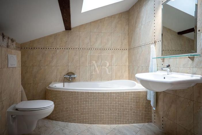 Prodej komerční nemovitosti, Sulice, Hlavní, 370 m2