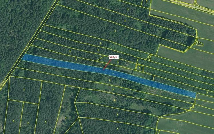 Dražba lesa, Jílovice, 13375 m2