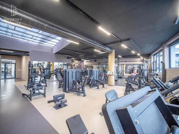 Prodej obchodního prostoru, Mladá Boleslav, Mileny Hážové, 4857 m2