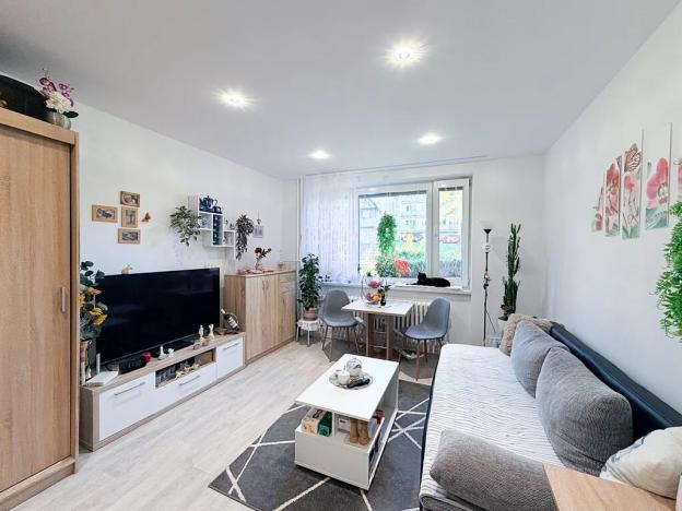 Prodej bytu 1+kk, Ostrava, Karola Šmidkeho, 28 m2