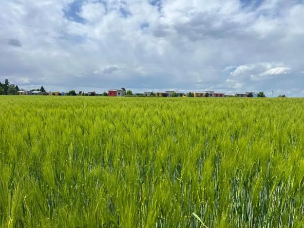 Prodej rodinného domu, Říčany, 200 m2