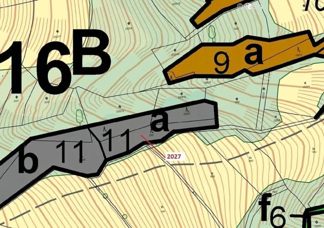 Dražba lesa, Hovězí, 1252 m2