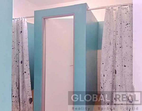 Pronájem ubytování, Pavlínov, 300 m2