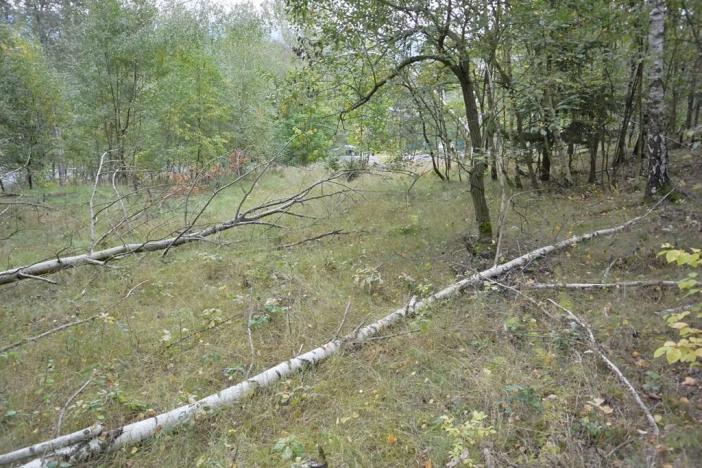 Prodej zahrady, Liberec, 1233 m2