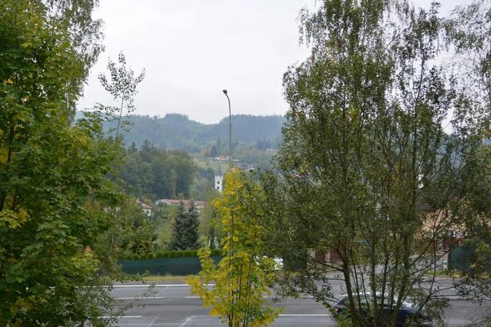 Prodej zahrady, Liberec, 1233 m2