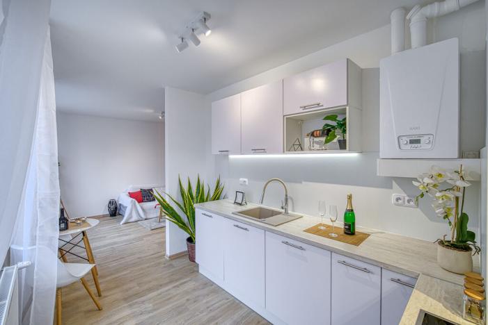 Pronájem bytu 3+1, Litvínov - Horní Litvínov, Vinohradská, 60 m2