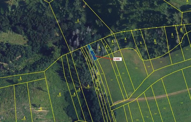 Dražba lesa, Spešov, 135 m2